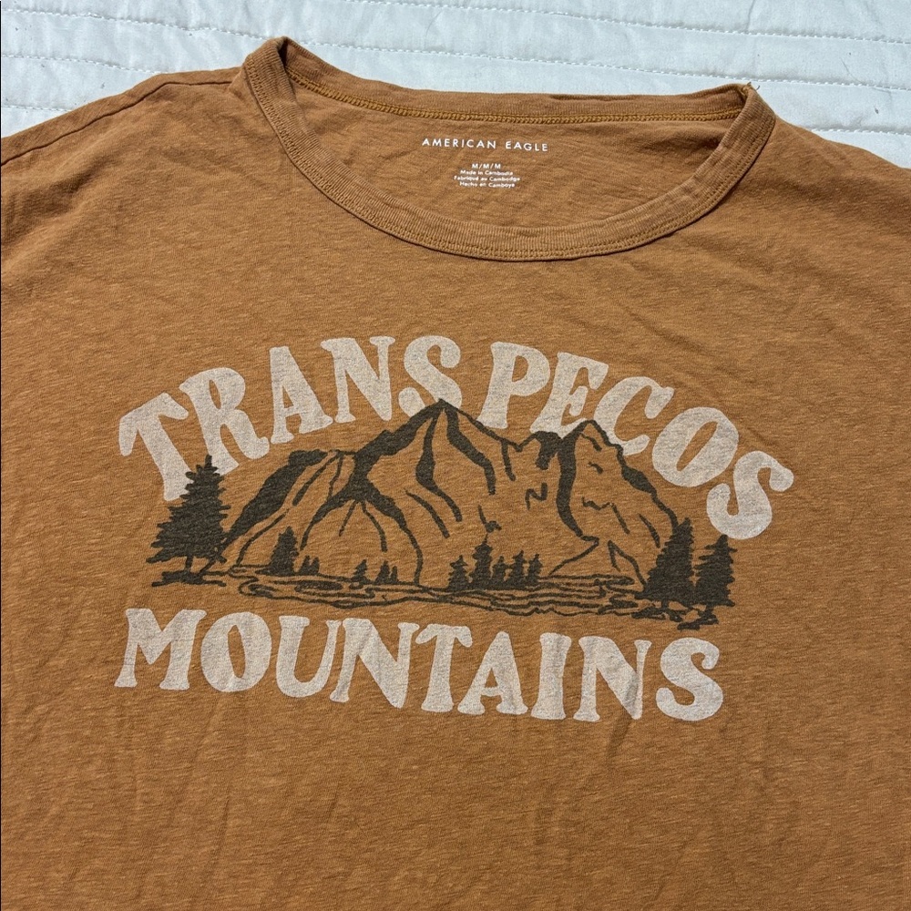 American Eagle Burnt Orange Graphic Tee